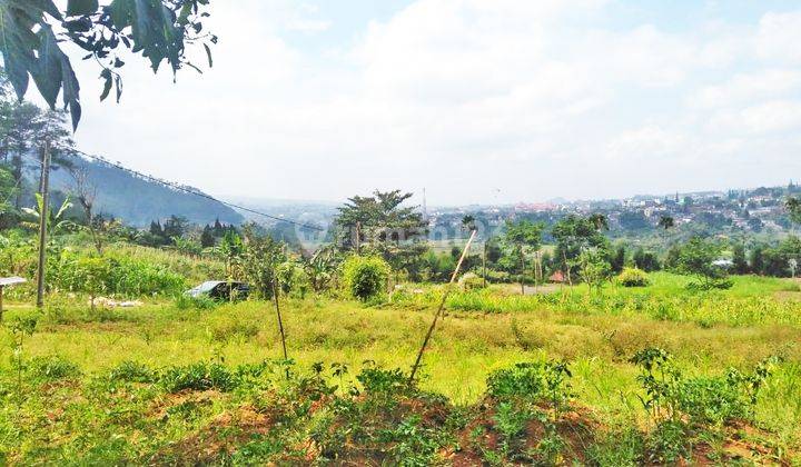 TANAH LUAS VILLA BUKIT PINUS PUJON BATU VIEW GUNUNG,CITY DAN HUTAN PINUS SONGGORITI  1