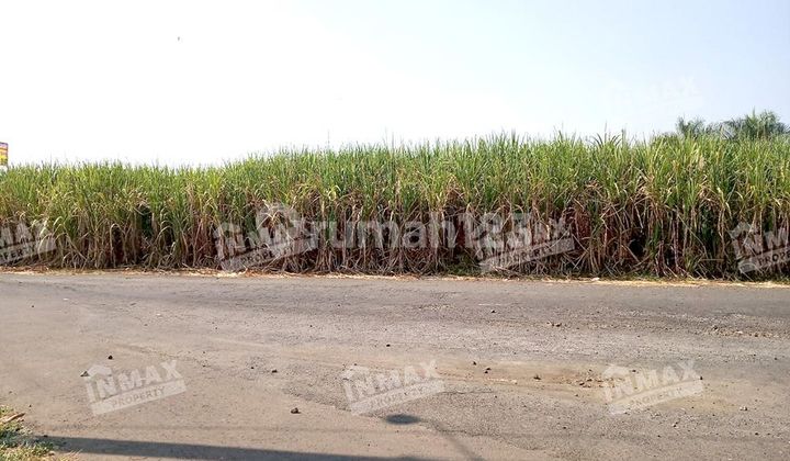TANAH LUAS TEGAL.MAPAN,PAKIS,KABUPATEN MALANG,DEKAT PABRIK GATRA MAPAN