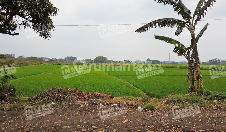 Mondoroko Singosari Large Land, area 5,115 m2, certificate of ownership, wide roadside lot. Mondoroko Singosari Large Land, area 5,115 m2, certificate of ownership, wide roadside lot.