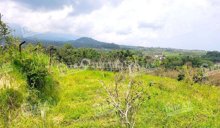 Tanah Kebun Luas 2.640 M2 Bumia Ppji Batu,view Gunung,dekat De Potrek Coffee,akses Mobil 2
