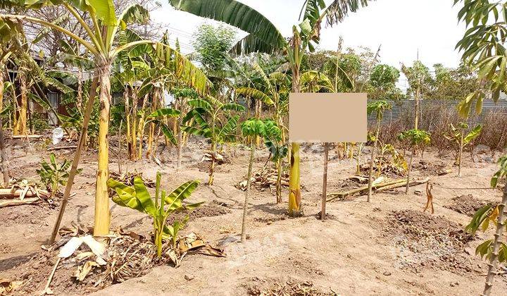 Dijual Tanah Luas 336 M2,shm,bangsal Mojokerto,dekat Area Industri 1