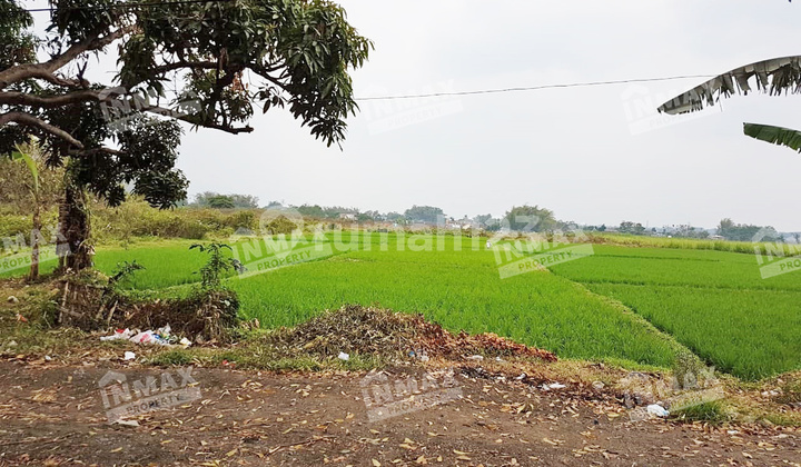 Tanah Raya Mondoroko Singosari Luas 5.115M2,Shm, Row Jalan Lebar