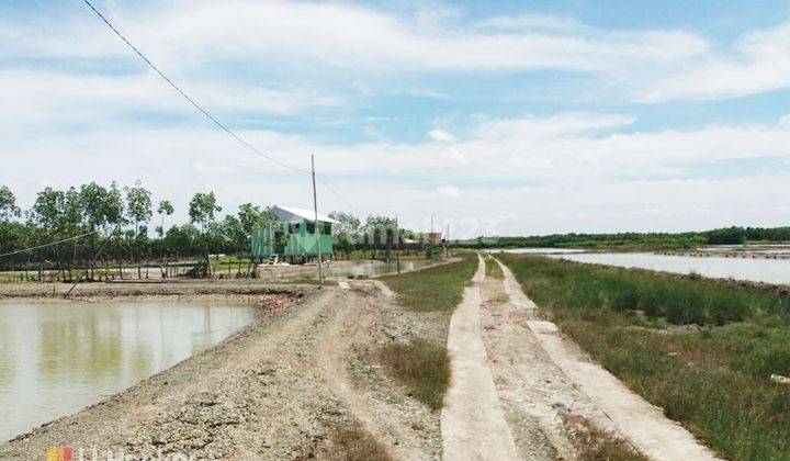 Dijual Lahan Tambak Berlokasi di Sayung Kab. Demak 10.894 aud  1