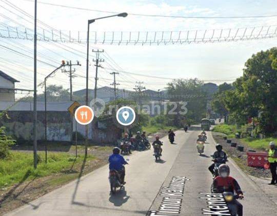 Tanah Murah Raya Kendal Dekat Kawasan Industri Kendal Dekat Pelabuhan jawa tengah  2