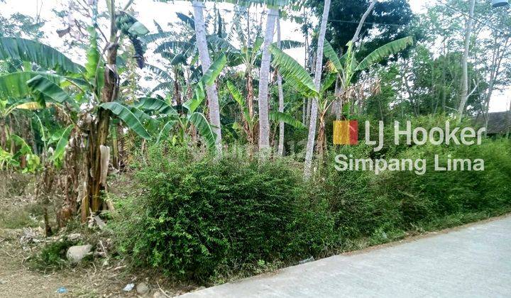 Invest Tanah Dijual Murah di Desa Tampingan Lokasi Strategis 11.527 aud 