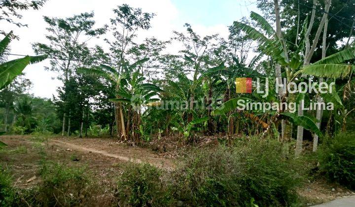 Invest Tanah Dijual Murah di Desa Tampingan Lokasi Strategis 11.527 aud  2