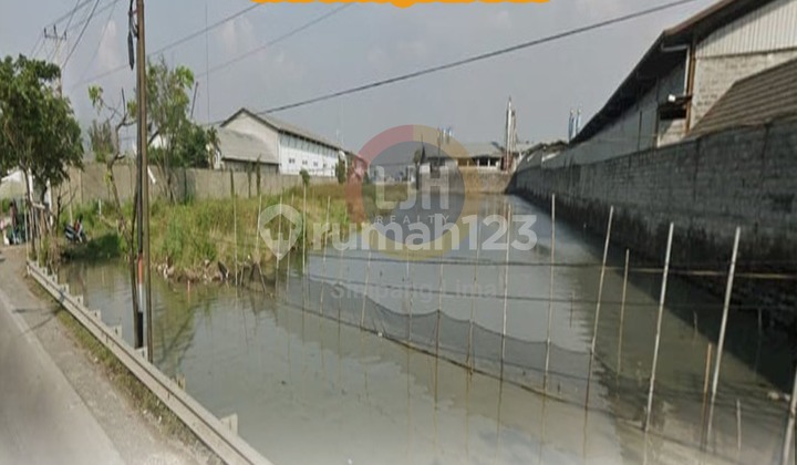 Dijual Tanah 5569 m2 SHM Sayung, Demak Dijual Tanah 5569 m2 SHM Sayung, Demak