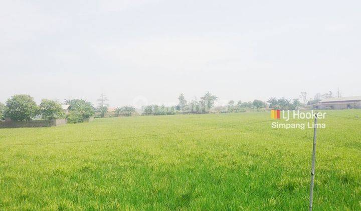 Disewakan Tanah Lokasi Strategis di Pantura Kaliwungu Kendal (12.303-AUD)  2
