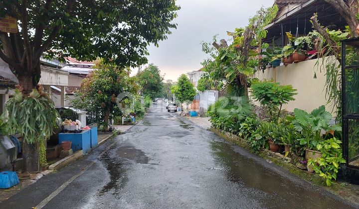 Dijual Rumah 2 Lantai Siap Pakai Di Tengger Selatan, Gajahmungkur (12.285-IVN) 1