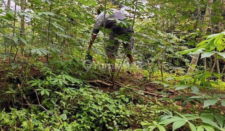 Tanah Murah Dekat Unnes Gunung Pati, Semarang (12.308-ANY) 2