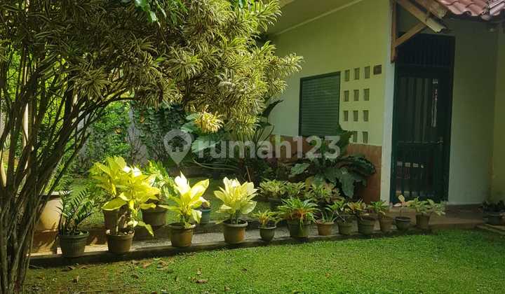 For Sale Strategic Ready-to-Occupy 528m SHM BSD For Sale Strategic Ready-to-Occupy 528m SHM BSD