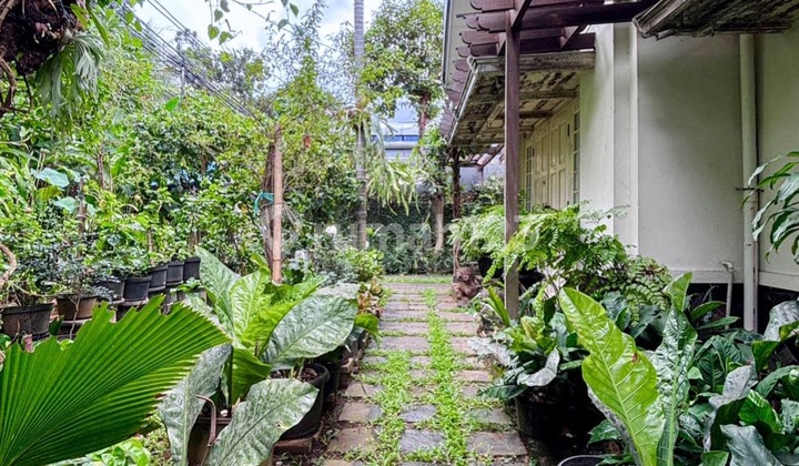 Menteng - [for Sale]: Area Premium, Rumah Lama Hitung Tanah, Jalan Lebar 2