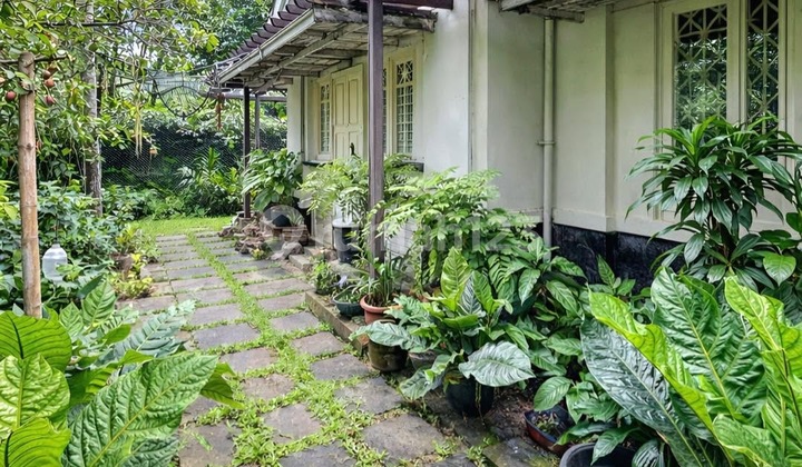 Menteng - [For Sale]: Premium Area, Land Value Based on Old House.