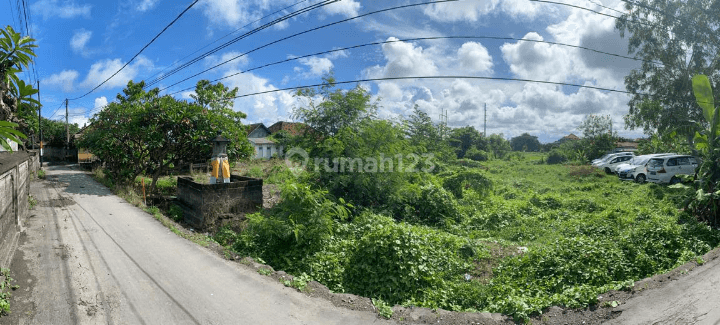 Disewakan Murah Tanah Sanur Denpasar Bali, Siap Pakai 1