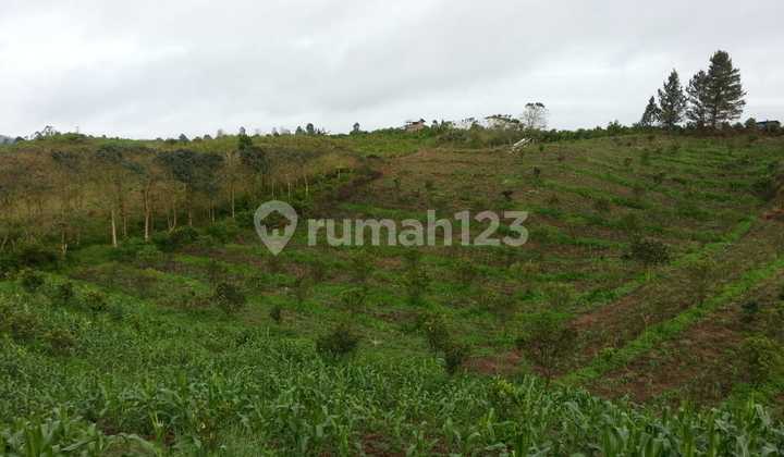 Dijual Cepat Kavling Di Desa Kacinambun Puncak 2000 Siosar Medan 2