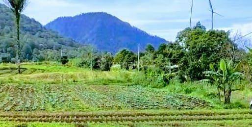 Dijual Cepat Tanah di Lombok , Nusa Tenggara Barat  2