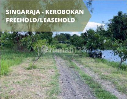 Cheap land for sale in Kerobokan, Bali  1