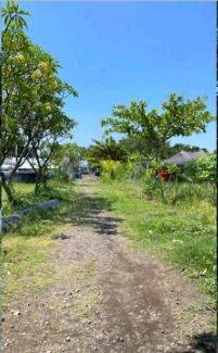 Cheap land for sale in Kerobokan, Bali  2