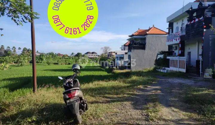 Tanah Murah 169m2 di Astasura Ayani Utara Antasura Peguyangan Dekat Nangka Gatsu Tengah Denpasar 1