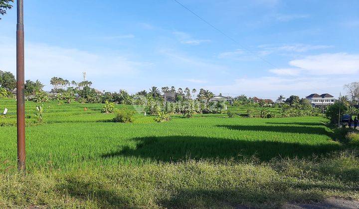 Tanah Murah 169m2 di Astasura Ayani Utara Antasura Peguyangan Dekat Nangka Gatsu Tengah Denpasar 3