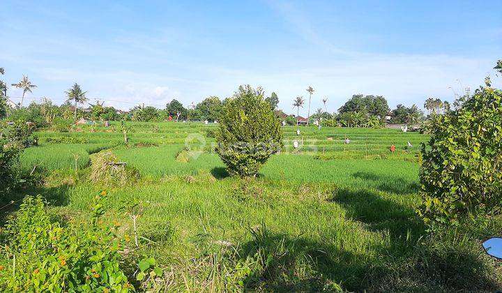 Tanah Murah 169m2 di Astasura Ayani Utara Antasura Peguyangan Dekat Nangka Gatsu Tengah Denpasar 4