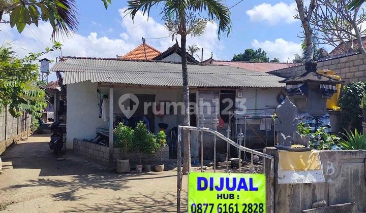 Tanah Murah 300m2 di Trengguli Penatih Gatsu Timur Denpasar 2