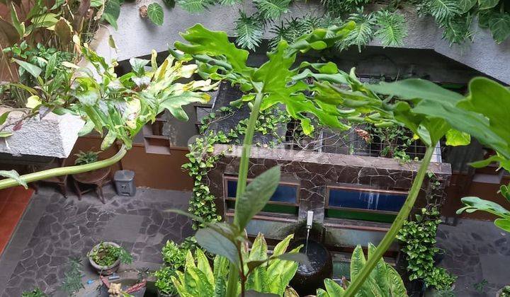 Mini Hotel Kos Elite Denpasar Kota Renon Dkt Jl. Cok Tresna Moh. Yamin Merdeka Dewi Madri Sanur Puputan Renon 13
