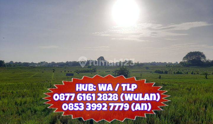 Rumah 215m2 Jl. Subur Monang Maning Dkt Imam Bonjol Pura Demak Mahendradatta Kerobokan Padang Sambian 9