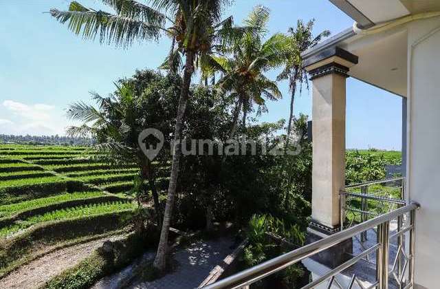 Rumah Style Villa View Sawah Full Furnished Lukluk Perang Dkt Sempidi Kapal Abianbase Padonan Canggu Kuta Utara 2