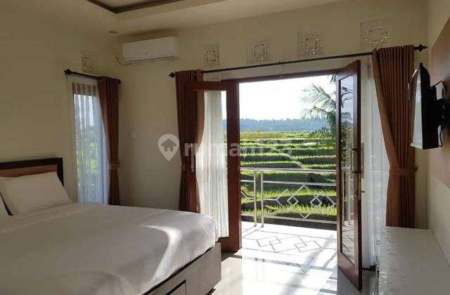 Rumah Style Villa View Sawah Full Furnished Lukluk Perang Dkt Sempidi Kapal Abianbase Padonan Canggu Kuta Utara 7