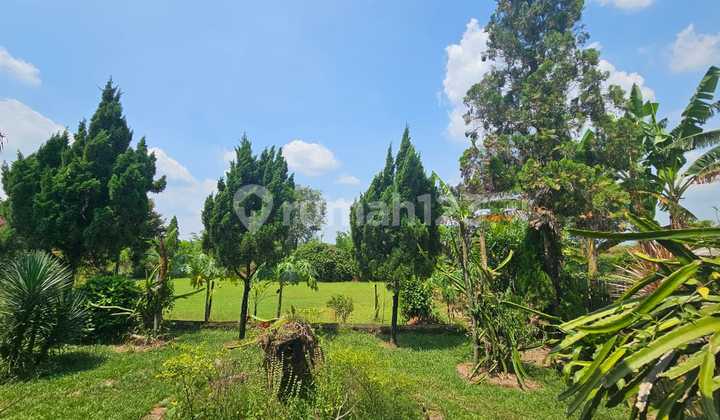 Dijual Lahan Tanah Murah Siap Pakai Lokasi Strategis Kawasan Surya Cipta Subang Jawa Barat Dijual Lahan Tanah Murah Siap Pakai Lokasi Strategis Kawasan Surya Cipta Subang Jawa Barat