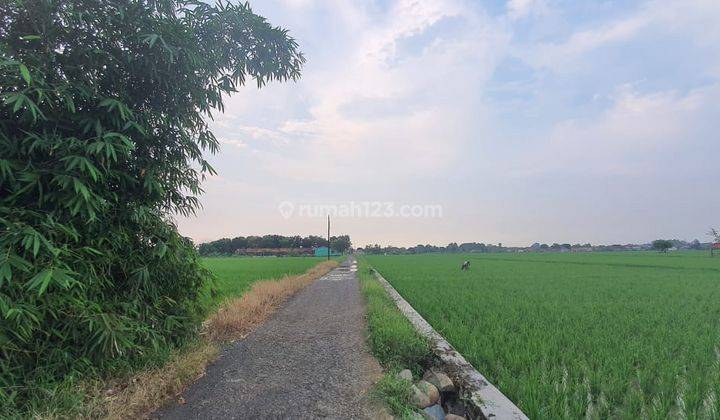 Dijual Cepat Lahan Tanah Siap Pakai Daerah Ciampel Karawang Jawa Barat 1