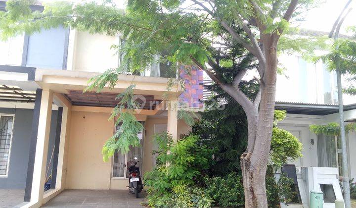 Disewakan Cepat Rumah 2 Lantai Cluster Brawijaya Perumahan Grand Taruma Karawang Barat 2