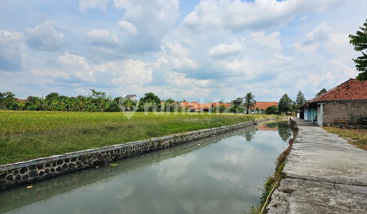 Dijual Cepat Lahan Tanah Murah Siap Pakai Kawasan Industri Dekat BYD Cibogo Subang Jawa Barat