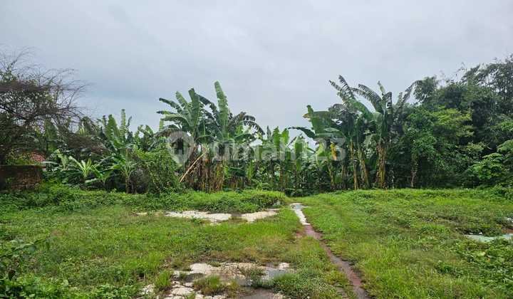 Dijual Cepat Lahan Tanah Murah Siap Pakai Lokasi Strategis Kawasan Industri Surya Cipta Subang Jawa Barat Dijual Cepat Lahan Tanah Murah Siap Pakai Lokasi Strategis Kawasan Industri Surya Cipta Subang Jawa Barat