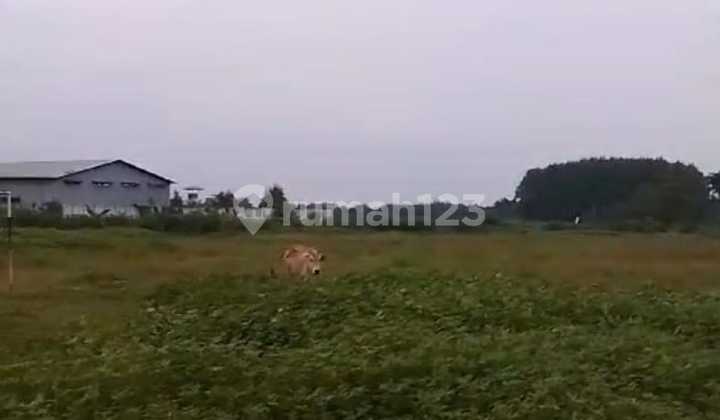 "Quick Sale Cheap Land Strategic Location Industrial Area Pabuaran Village Subang West Java"