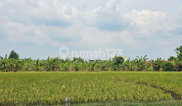 Dijual Cepat Lahan Tanah Murah Siap Pakai Kawasan Industri Dekat BYD Cibogo Subang Jawa Barat