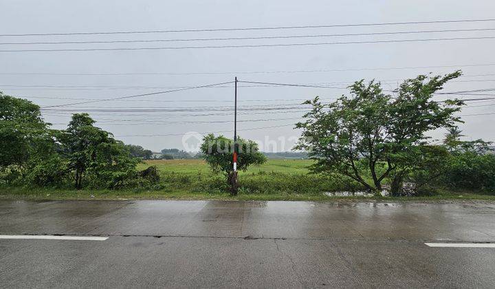 Dijual Cepat Lahan Tanah Murah Siap Pakai Desa Wanajaya Karawang Barat 2