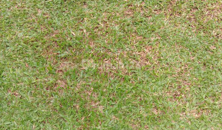 Land rumah tua simprug golf 1