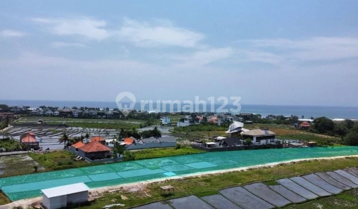 Tanah di Cemagi untuk disewa petak kecil