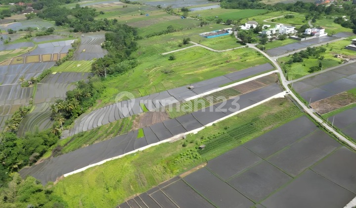 For Leasehold land in Kedungu