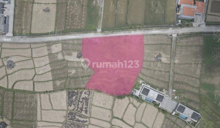 Land in cemagi for leasehold  2