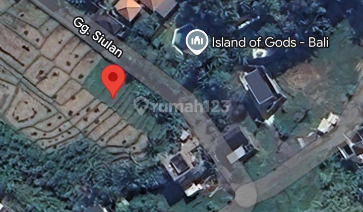 Dijual Tanah Di Kedungu Freehold Small Plot  1