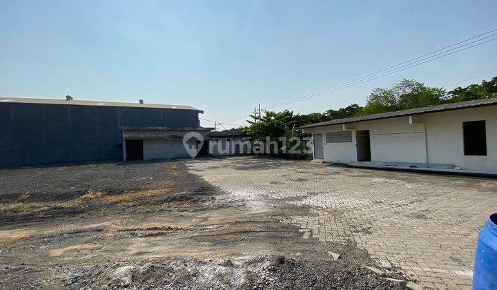 Gudang Maspion gresik for rent  4