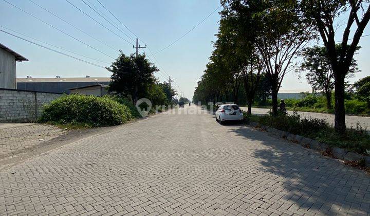 Gudang Maspion gresik for rent  8