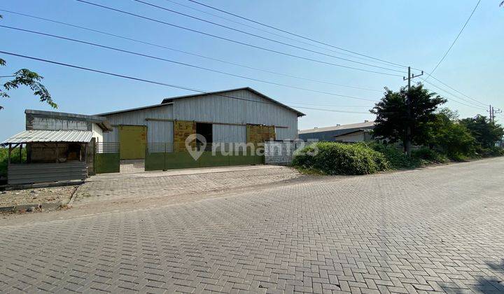 Gudang Maspion gresik for rent  9