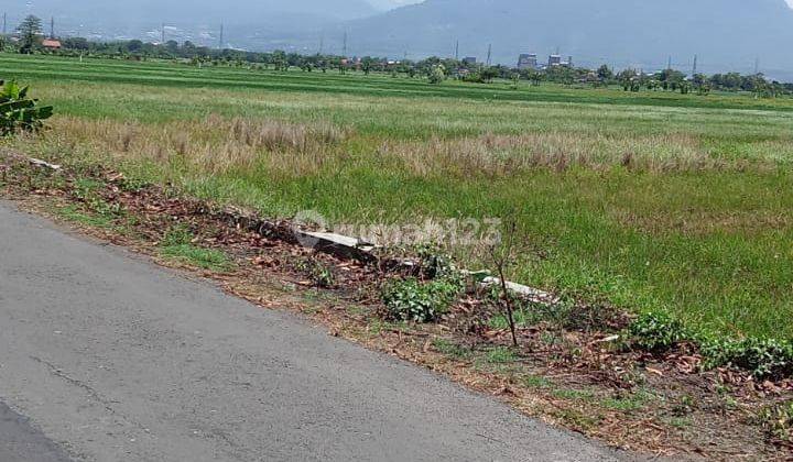 Paling murah sederetannya Dijual tanah Luas 12.2ha cocok untuk perumahan  1