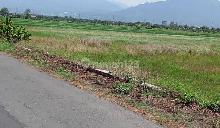 Paling murah sederetannya Dijual tanah Luas 12.2ha cocok untuk perumahan  5