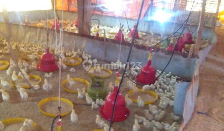 Dijual gudang Pasuruan paling murah se Kabupaten  3