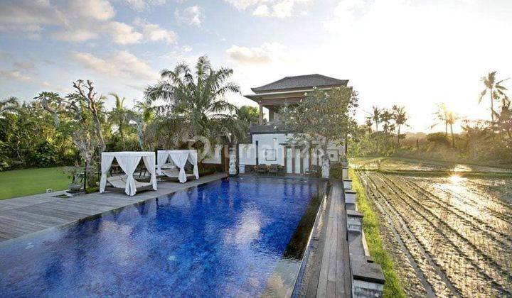 For sale Luxury villa in Denpasar view rice fields river  2